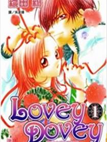 Lovey Dovey 优女与恶男